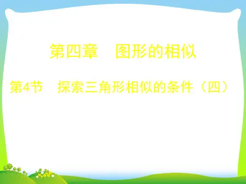 新北师大版九年级数学上册《探索三角形相似的条件(四)》公开课课件.ppt