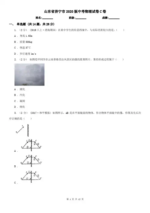 山东省济宁市2020版中考物理试卷C卷