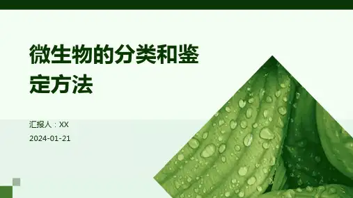 微生物的分类和鉴定方法