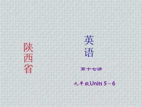 2015年中考英语(人教版·陕西)考点精讲课件第17讲+九年级Units5-6