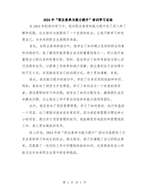 2024年“职业素养与能力提升”培训学习总结