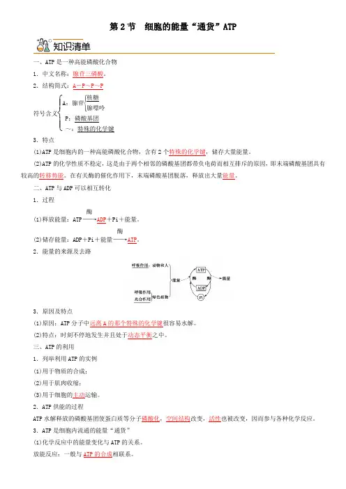生物人教版高中必修一(2019年新编)5-2 细胞的能量“货币”ATP(教案)