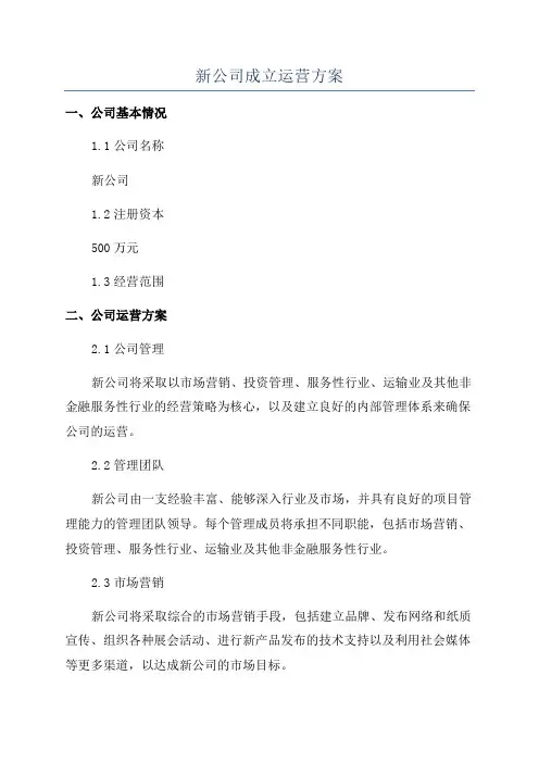 新公司成立运营方案
