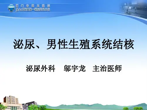 泌尿系结核PPT