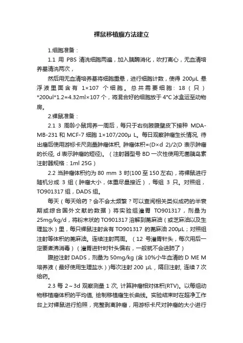 裸鼠移植瘤方法建立