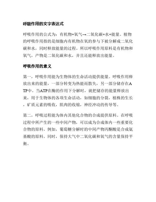 呼吸作用的文字表达式