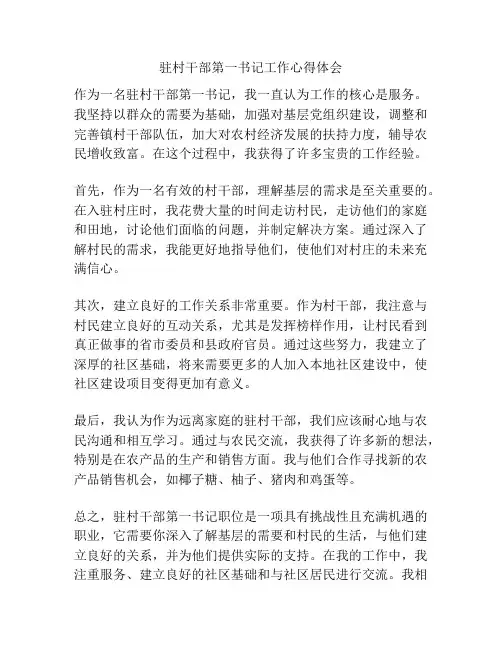 驻村干部第一书记工作心得体会