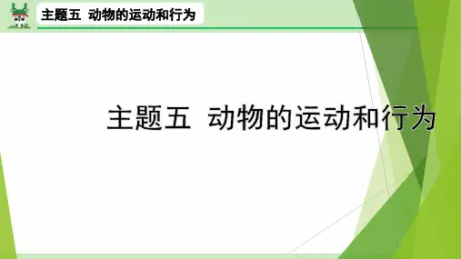 中考生物总复习主题五 动物的运动和行为课件