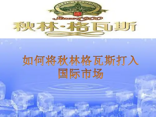 格瓦斯营销方案