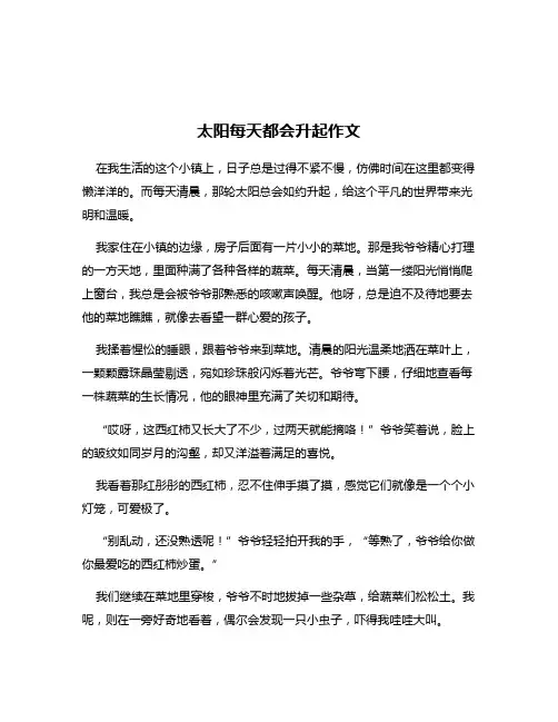 太阳每天都会升起作文