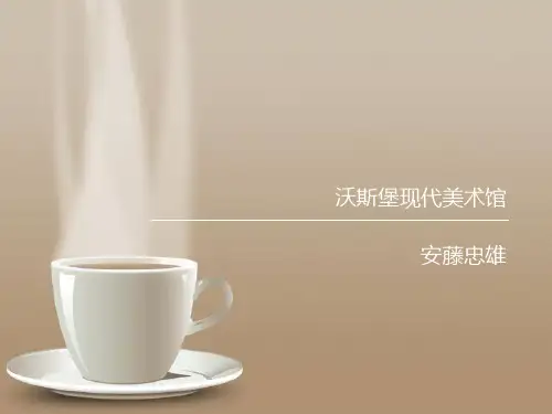 安藤忠雄--沃斯堡现代美术博物馆分析