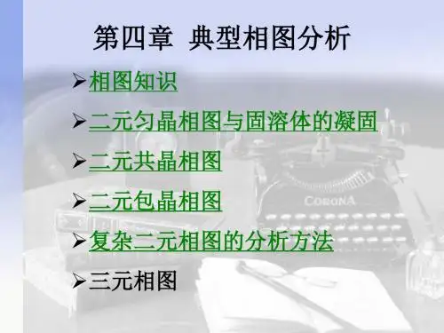典型相图分析
