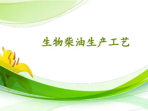 生物柴油生产工艺 PPT