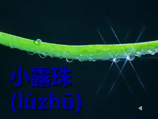 《小露珠》PPT课件