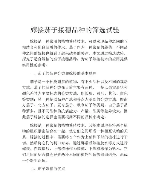 嫁接茄子接穗品种的筛选试验