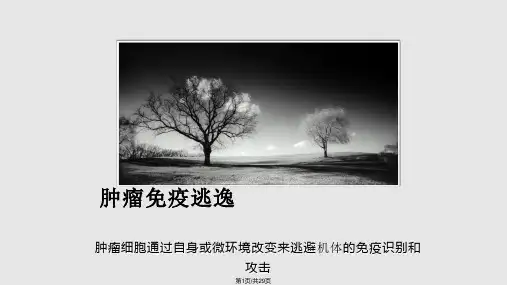 肿瘤免疫逃逸PPT课件