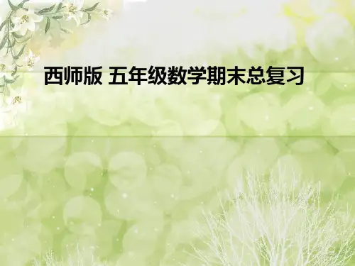 西师版五年级下册数学总复习全部课件