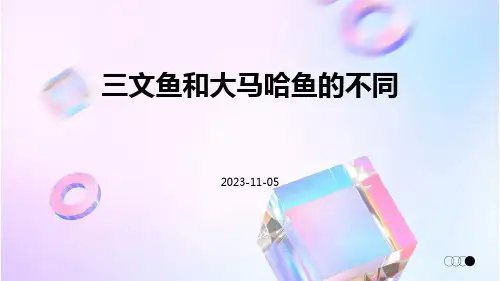 三文鱼和大马哈鱼的不同