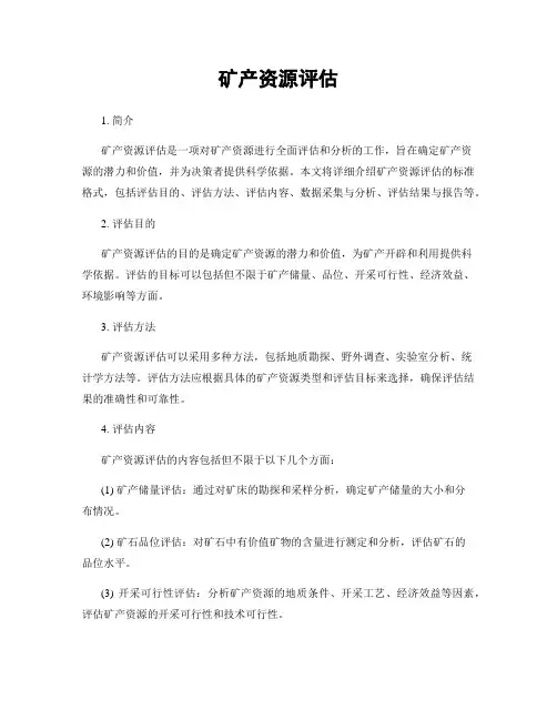 矿产资源评估