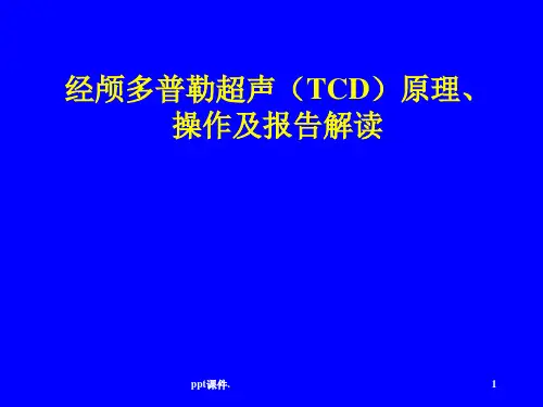 TCD原理操作与报告解读ppt课件