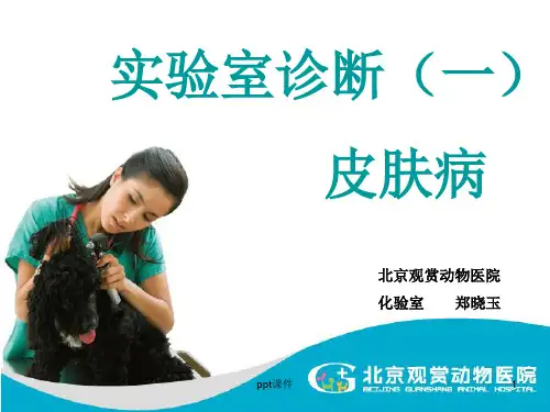 实验室诊断(一)皮肤病检查  ppt课件