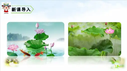部编版ppt-《荷花》公开课课件5