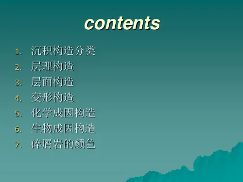 第五章沉积构造