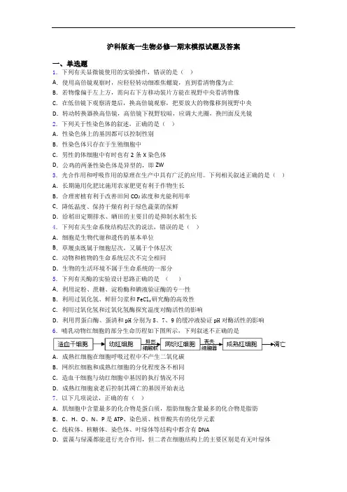 沪科版高一生物必修一期末模拟试题及答案
