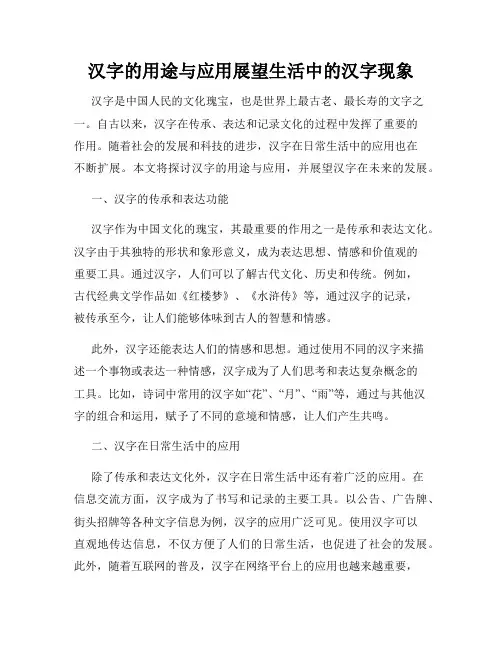 汉字的用途与应用展望生活中的汉字现象