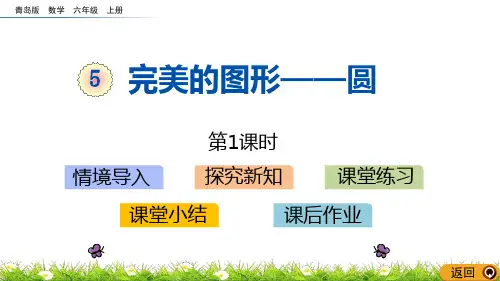 《完美的图形》数学教学PPT课件(6篇)