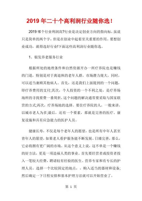 2019年二十个高利润行业随你选9页