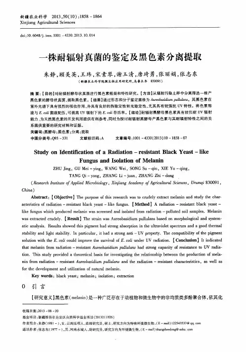 一株耐辐射真菌的鉴定及黑色素分离提取