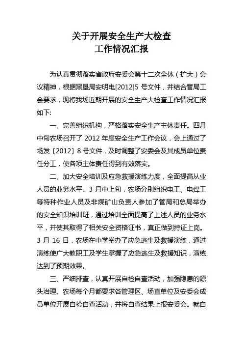 开展安全生产大检查工作情况汇报
