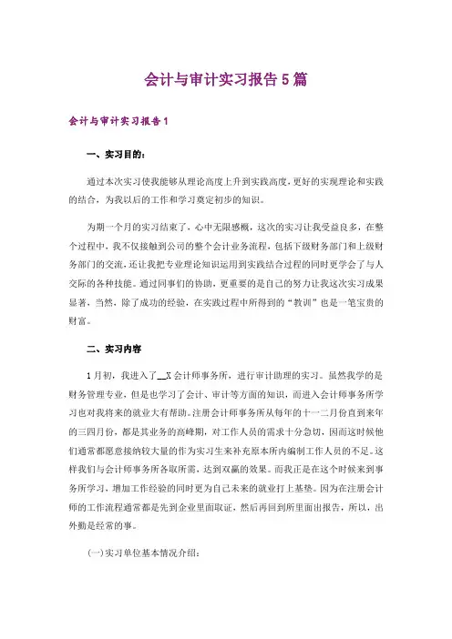 会计与审计实习报告5篇