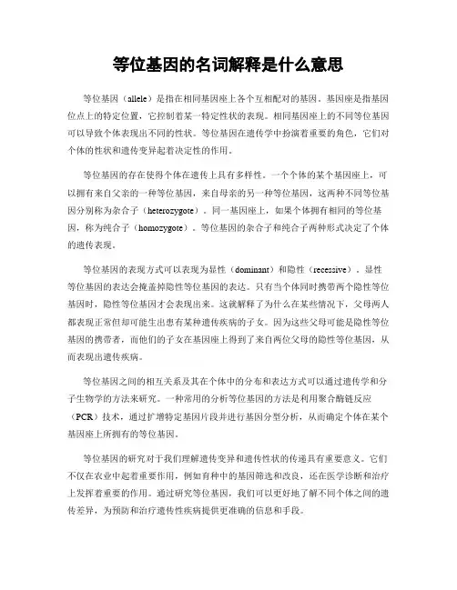 等位基因的名词解释是什么意思