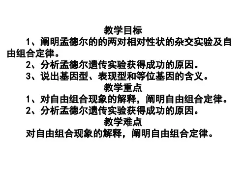 第二节孟德尔的豌豆杂交实验二课件ppt