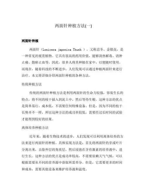 两面针种植方法(一)