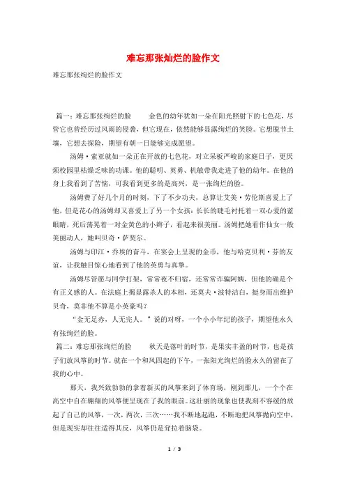 难忘那张灿烂的脸作文
