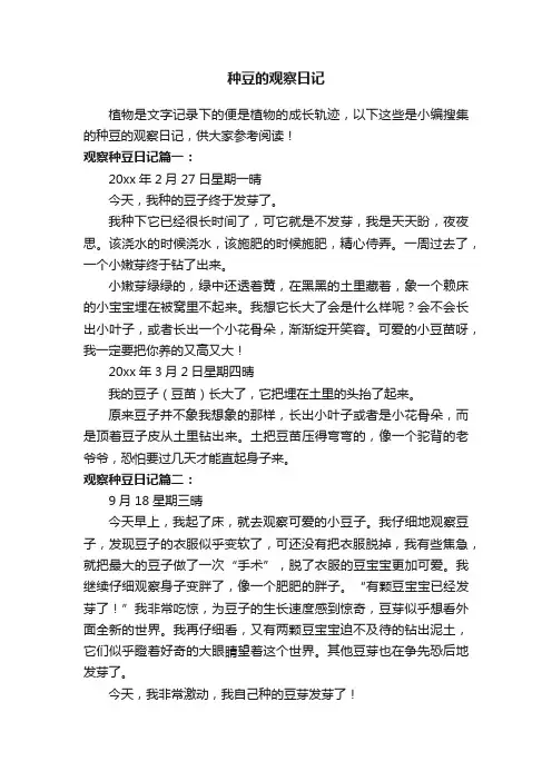种豆的观察日记