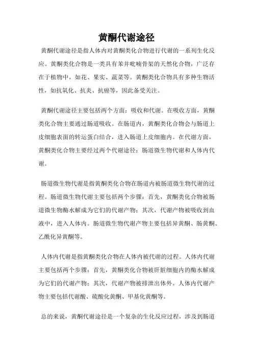 黄酮代谢途径