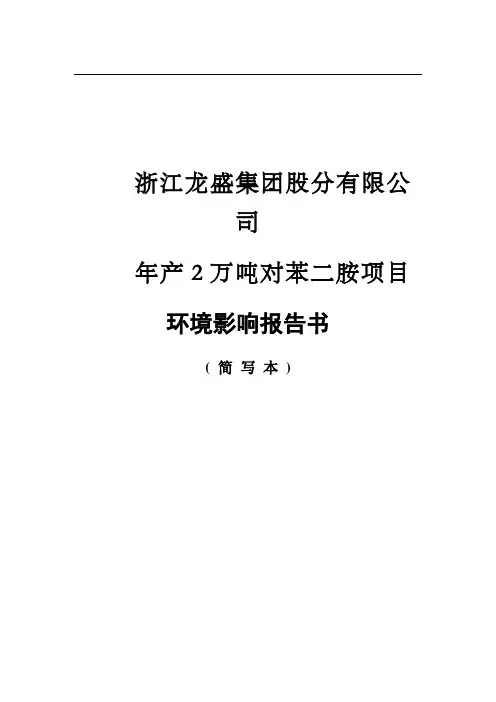 年产2万吨对苯二胺项目_完整版