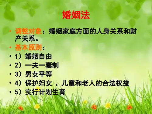课件：婚姻法