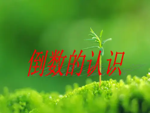 苏教版数学六上2.6《倒数的认识》ppt课件(2)