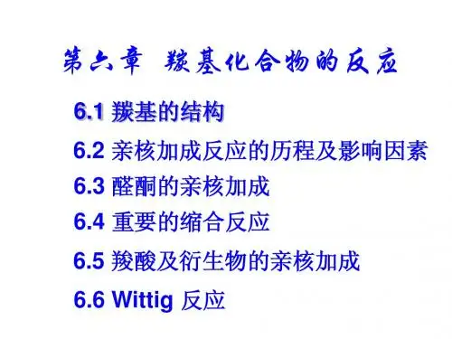 6.1 羰基化合物的反应