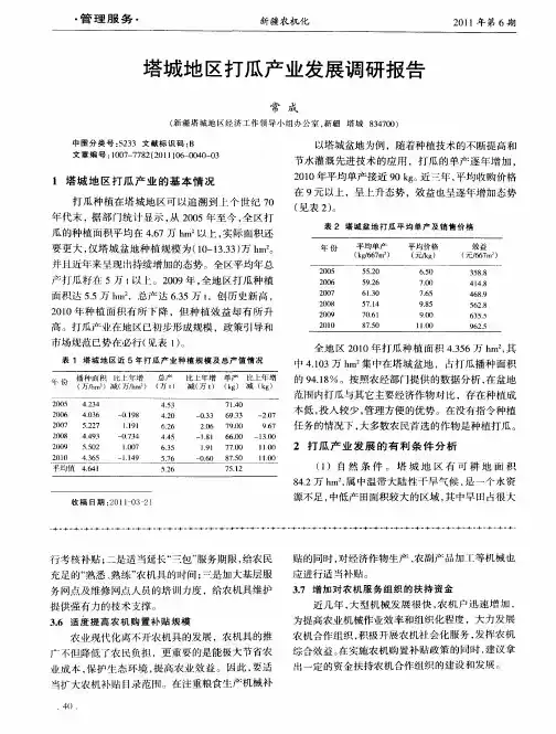 塔城地区打瓜产业发展调研报告