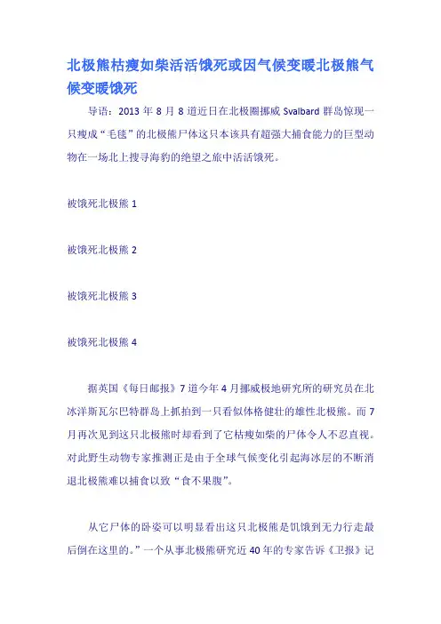 北极熊枯瘦如柴活活饿死或因气候变暖北极熊