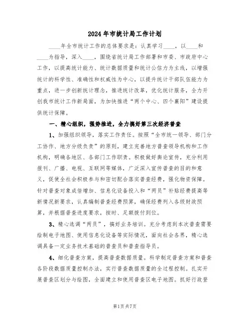 2024年市统计局工作计划（2篇）