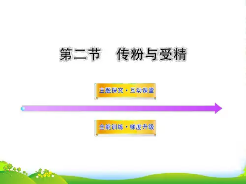 八年级生物上册 第四单元 第一章 第二节 传粉与受精课件 济南版