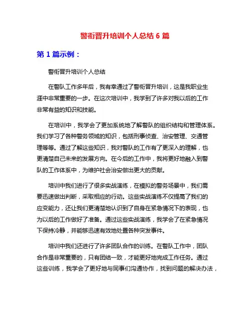 警衔晋升培训个人总结6篇