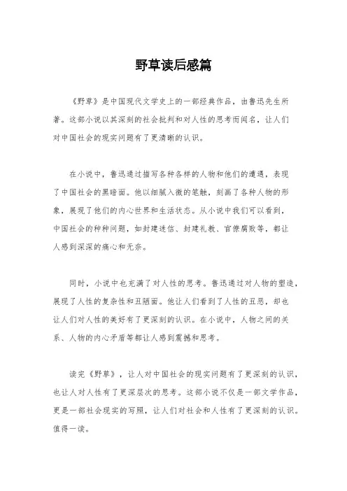 野草读后感篇